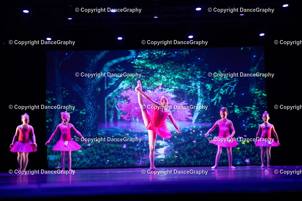 GPHY5026 | DanceGraphy - Realisiert mit Pictrs.com