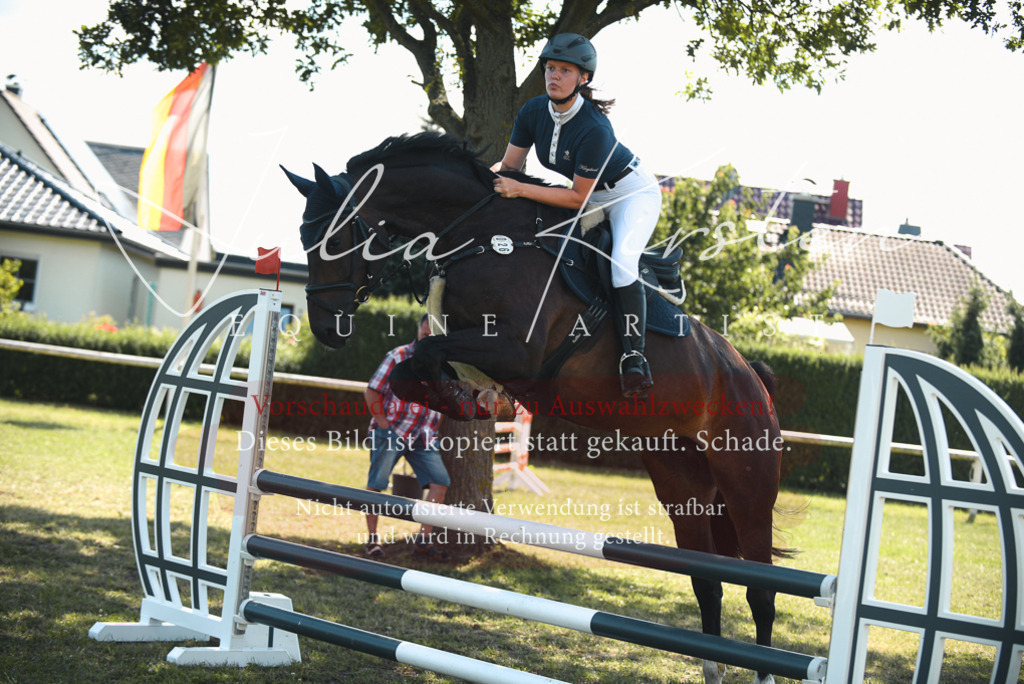 DSC_6999 | Pferde- und Turnierfotografie in Westsachsen. Pferdeportraits, Auftragszeichnungen und intuitive Kunst.