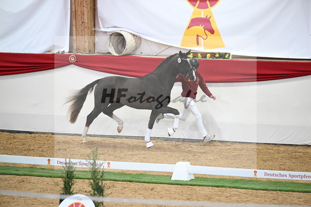 Kat.-Nr. 45 v. Bonds_Schafhof_2250045 | hf-fotografie - Realisiert mit Pictrs.com