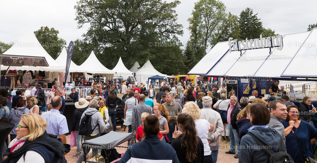 TH_Ausstellung_Massen_1641 | CHI Donaueschingen 2019 am 17.08.19 in Donaueschingen, Donaueschinger Schlosspark, Thomas Hellmann, TH_Ausstellung_Massen_1641