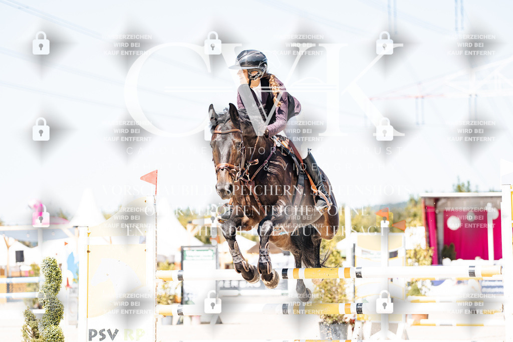 CK909424 | Turnierfotografie Pferdefotografie Trier Rheinland-Pfalz Pferdesport Reitsport Tierfotografie Sportfotografie Pferdevideo Pferdevideografie Equestrianvideography equestrianphotography  - Realisiert mit Pictrs.com