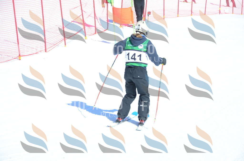 C6046 | holidayphoto