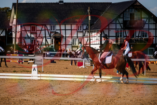 2026_10_03_Siefer-Hof_115517_Z63_30635319 | Professionelle Reitsport-, Turnier- und Eventfotografie von Robert Broda. Galerien mit ausgewählten und bearbeiteten Bildern direkt online ansehen und bestellen.