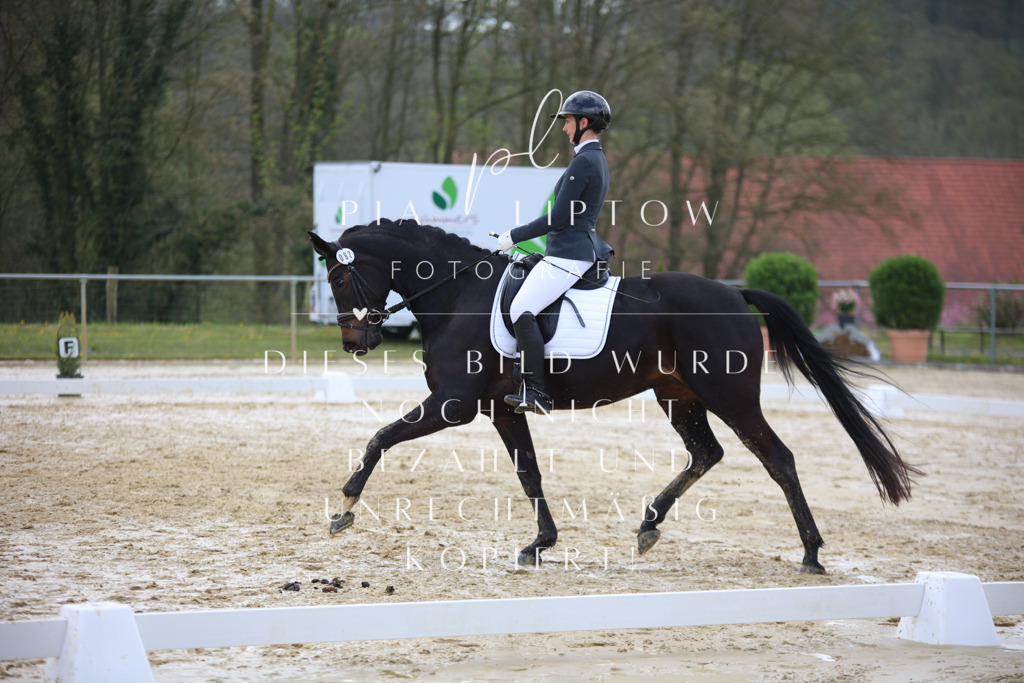 IMGT2879 | pl-fotografie