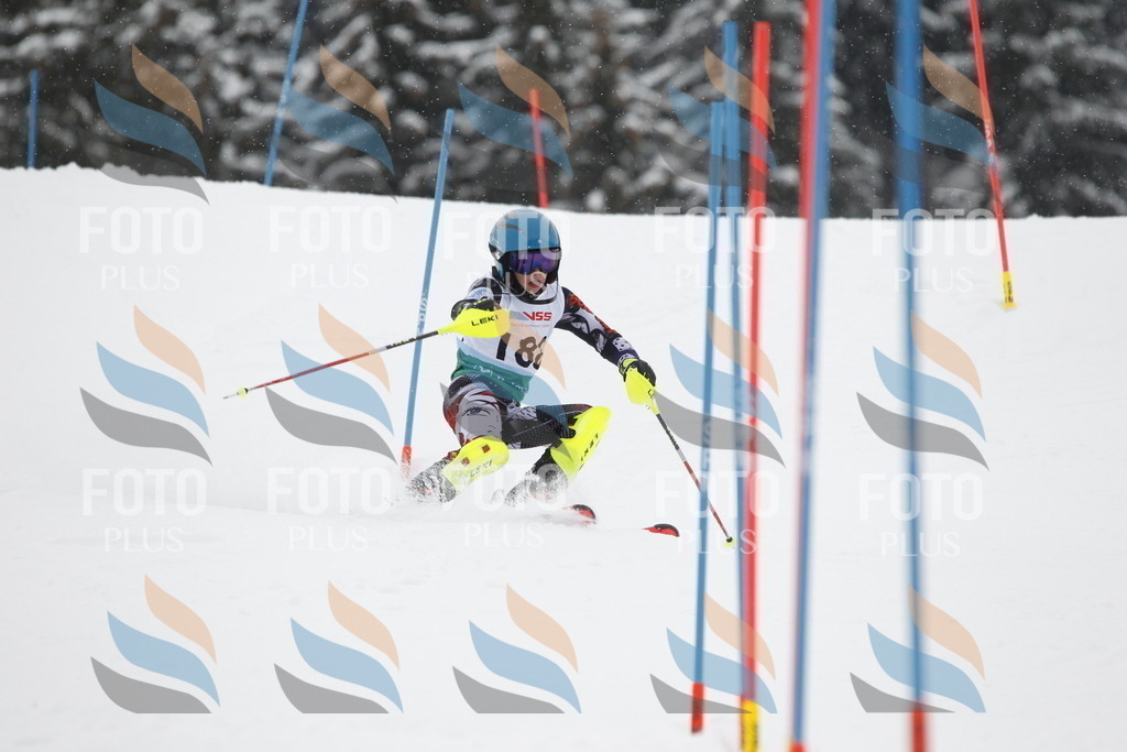 A2113 | holidayphoto