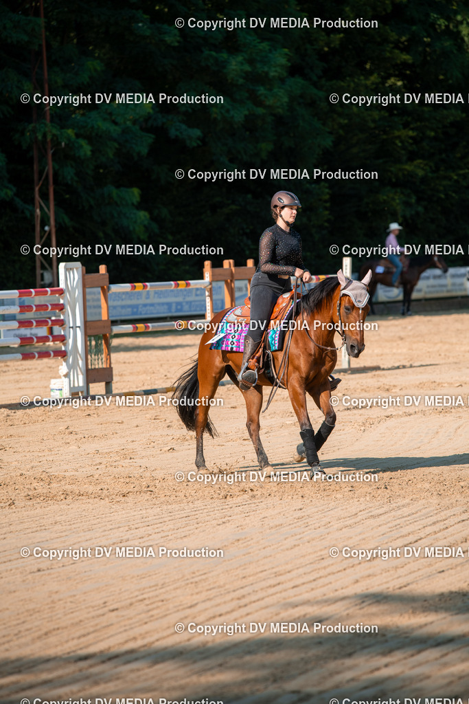 ZS2_8858 | dv-media-shop - Realisiert mit Pictrs.com