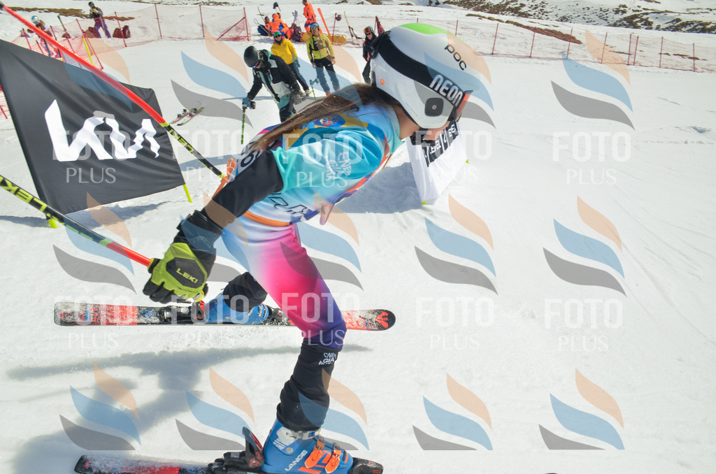 _ELE5130 | holidayphoto