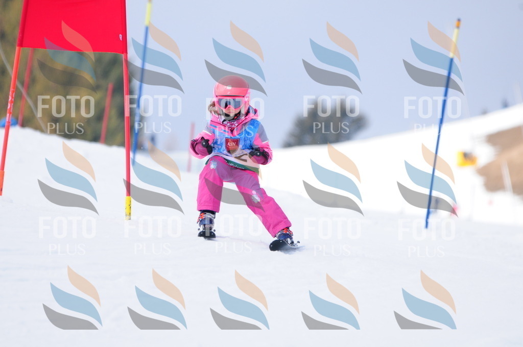 A3611 | holidayphoto