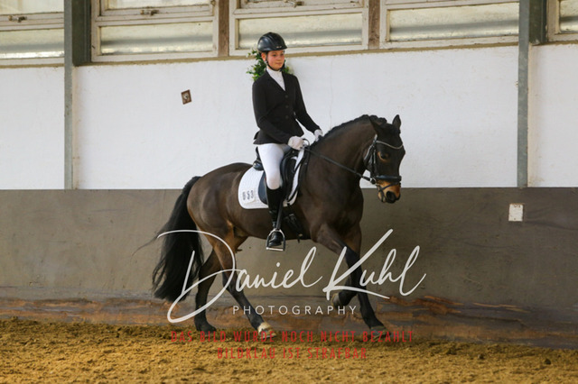 IMG_2569 | Turniersportfotografie; Pferdefotografie; Dressurfotografie