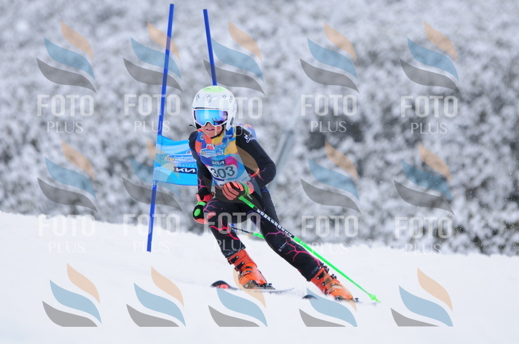 C3210 | holidayphoto