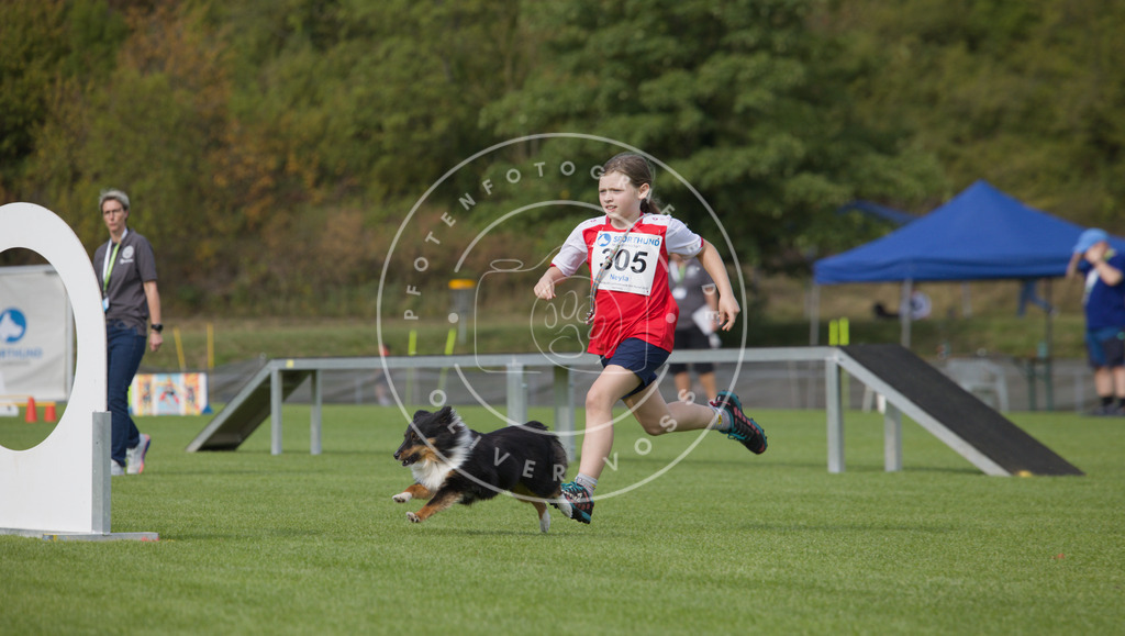 0L8A3562 | Hundefotografie, Tierfotograf, Pfotenfotografie, Fotoshooting Hund, Hunde Portrait, Hundesport, Hundeportraits, Heideshooting, Hunde, Sportfotograf, Hundefotograf, Turnierhundsport, THS,  - Realisiert mit Pictrs.com