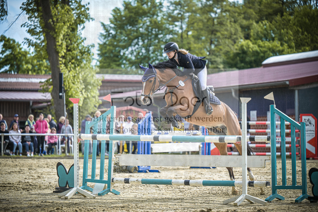 DOS_2687 | Entdecke hochwertige Reitturnierfotos von Foto Oger. Professionell, emotional und authentisch – jetzt Lieblingsmomente im Shop bestellen.Deutschlandweite Turnierfotografie. - Realisiert mit Pictrs.com