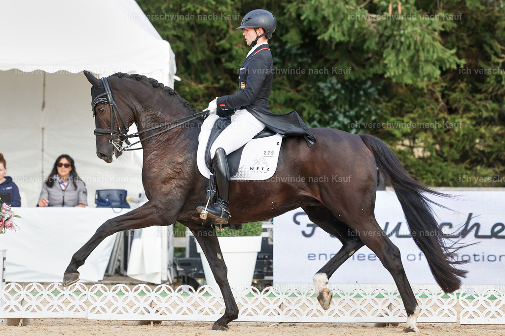 13-229-S___ -StoibPH-6979 | working equitationturnier fotograf videograf stoibphotography marixx film working equitation deutschland reitsport turnierfotografie eventfotografie equestrian events