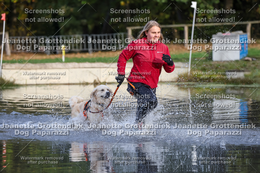 Dog Paparazzi - Strongdog 10-25-8227 | Dog Paparazzi Jeanette Grottendiek Fotografie & Videografie - Realisiert mit Pictrs.com