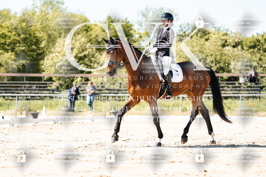 CK905138 | Turnierfotografie Pferdefotografie Trier Rheinland-Pfalz Pferdesport Reitsport Tierfotografie Sportfotografie Pferdevideo Pferdevideografie Equestrianvideography equestrianphotography  - Realisiert mit Pictrs.com