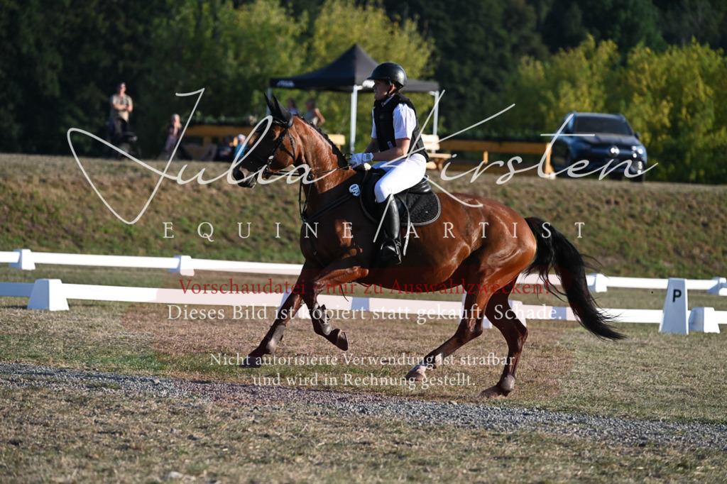 DSC_9217 | Pferde- und Turnierfotografie in Westsachsen. Pferdeportraits, Auftragszeichnungen und intuitive Kunst.