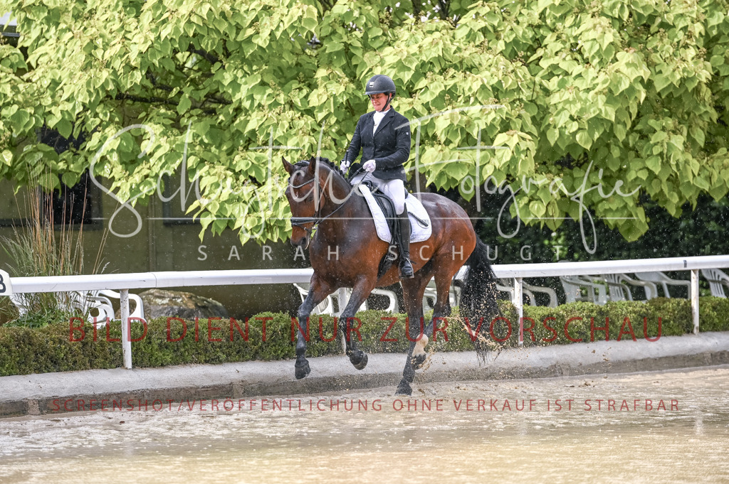 Schugtsche-Aluta25-54.Dressurprf.L1Trense-104 | Schugtsche Fotografie - Realisiert mit Pictrs.com