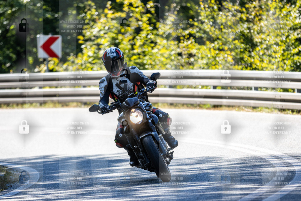 IMG_3312 | jrph - Realisiert mit Pictrs.com