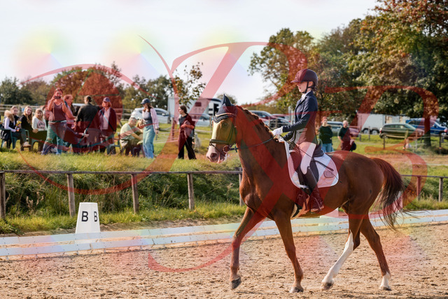 2026_10_03_Siefer-Hof_133003_Z63_91883412 | Professionelle Reitsport-, Turnier- und Eventfotografie von Robert Broda. Galerien mit ausgewählten und bearbeiteten Bildern direkt online ansehen und bestellen.