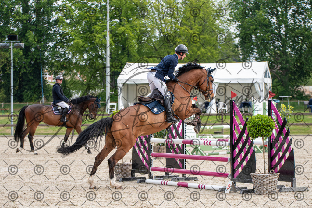 KPT_2541 | andre_photographic