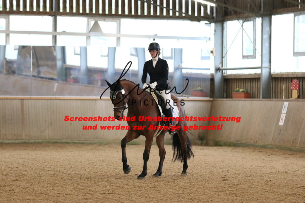 IMG_6283 | lmwpictures - Realisiert mit Pictrs.com