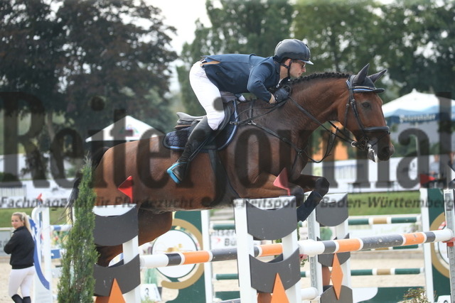 Durmersheim_2022_Prfg.Nr.04_Zwei-Phasen-Springen_Kl.S_Florian Lippemeier_Valentino 304 (1) | Alle Fotos der Reiterjournal Fotografin Doris Matthaes im Reiterjournal Online-Fotoshop. - Realisiert mit Pictrs.com
