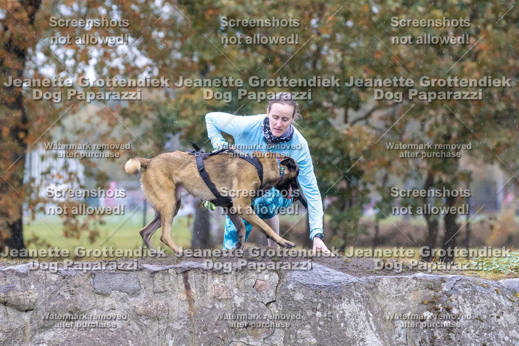 Dog Paparazzi - SD CaniX Championship 2025-679 | Dog Paparazzi Jeanette Grottendiek Fotografie & Videografie - Realisiert mit Pictrs.com