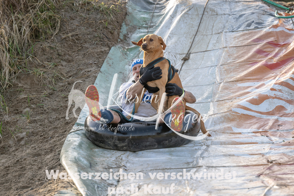 1635_ZZ92817-Bearbeitet | kk-dogfotos