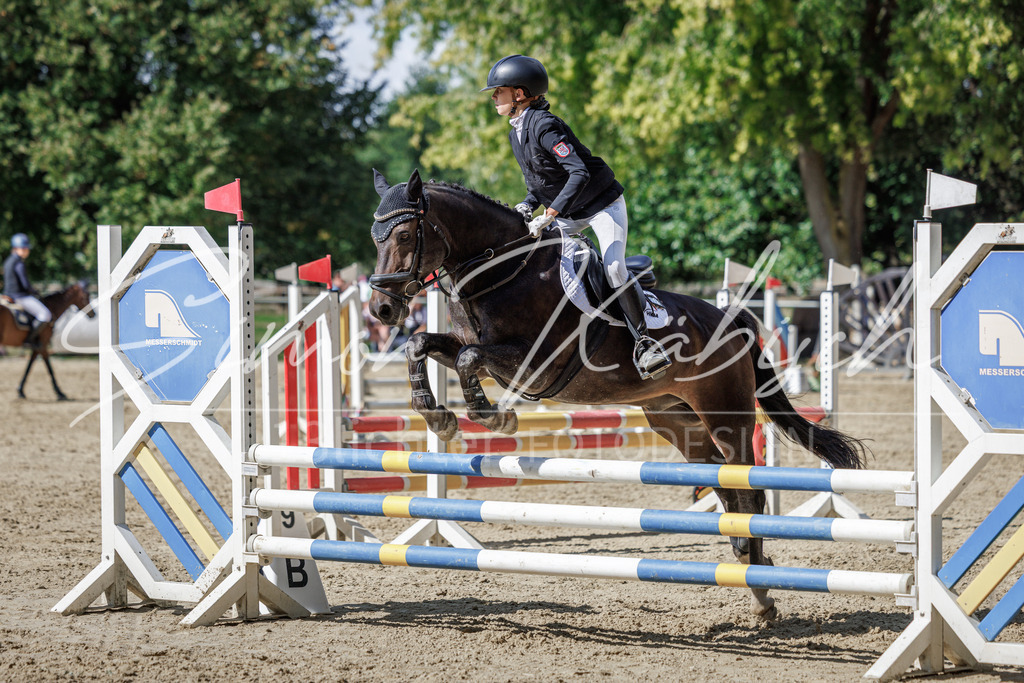 20260905-_3LI9478 | Tierfotografie Pferde, Hunde, Katzen, Haustiere.
Turnierfotografie Reitturniere, Reiten, Springreiten, Dressur in Hanau, dem Main-Kinzig-Kreis und dem Rhein-Main- Gebiet um Frankfurt