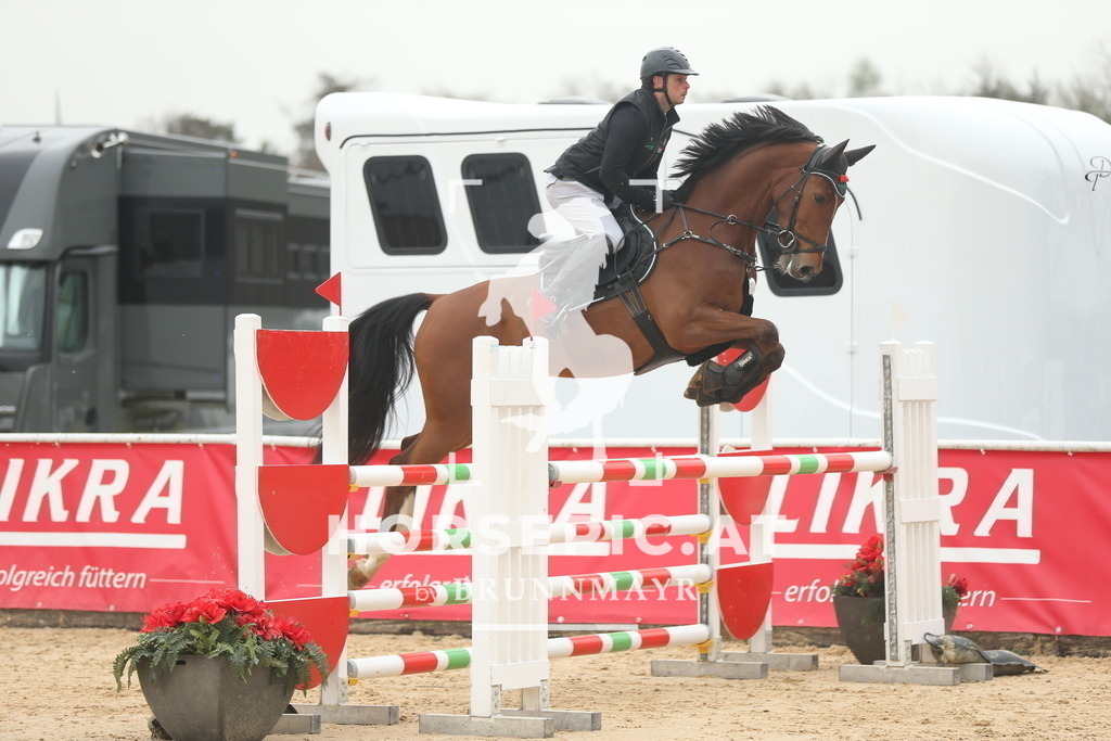 AS8V8585 | Willkommen bei Brunnmayr - Design & Fotografie – Ihrem Spezialisten für Reitturniere und Pferdeveranstaltungen in Oberösterreich, Salzburg und Bayern! Seit über 17 Jahren sind wir leidenschaftlich dabei.