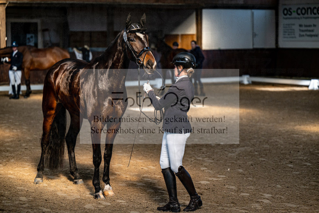 20240308-DOS_4106 | Entdecke hochwertige Reitturnierfotos von Foto Oger. Professionell, emotional und authentisch – jetzt Lieblingsmomente im Shop bestellen.Deutschlandweite Turnierfotografie. - Realisiert mit Pictrs.com
