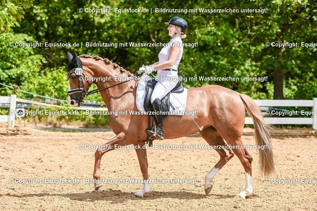 20230716_03_Dressurprfg. Kl.L - Tr._0536 | equistock