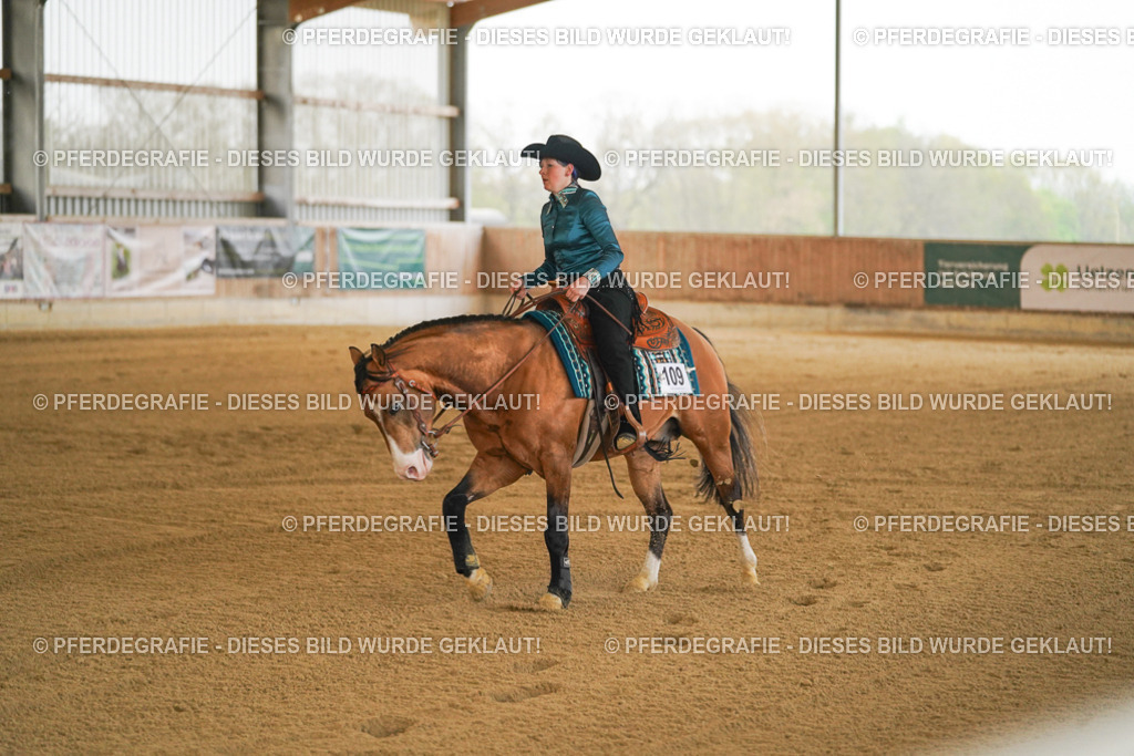 DSC08477 | Pferdegrafie