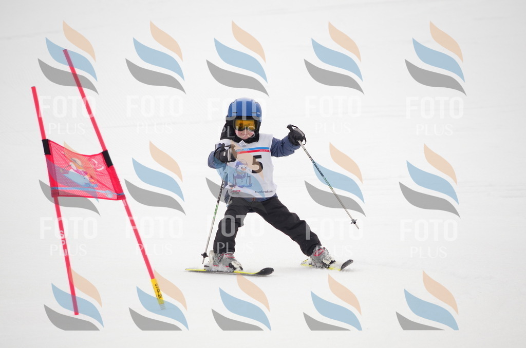 B9517 | holidayphoto