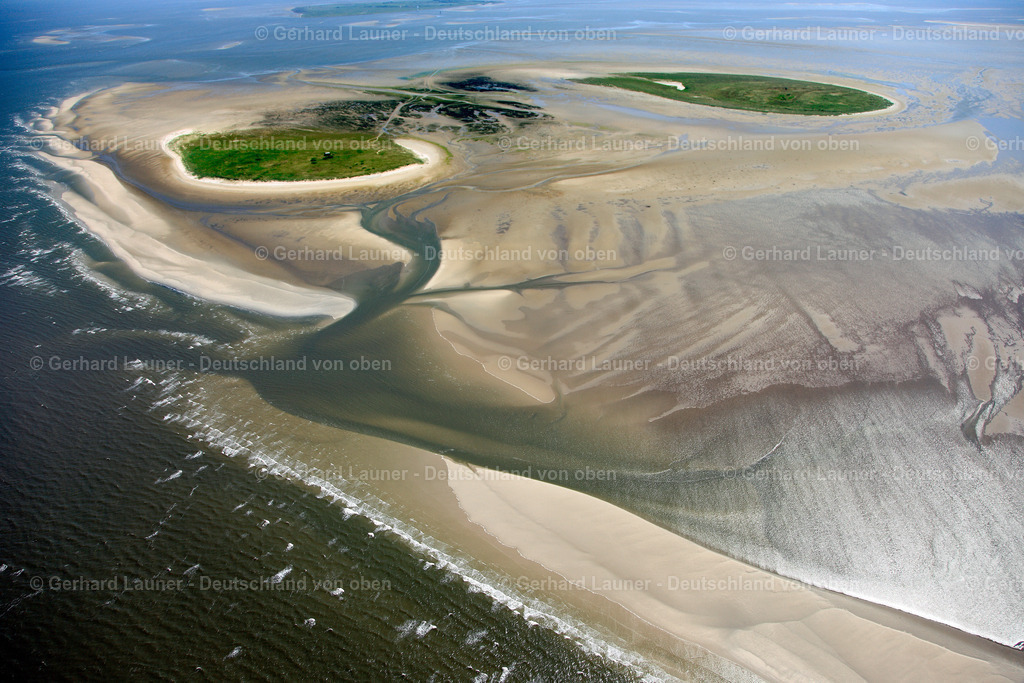3090405 | Nigehörn,Scharhörn Nationalpark Hamburgisches Wattenmeer