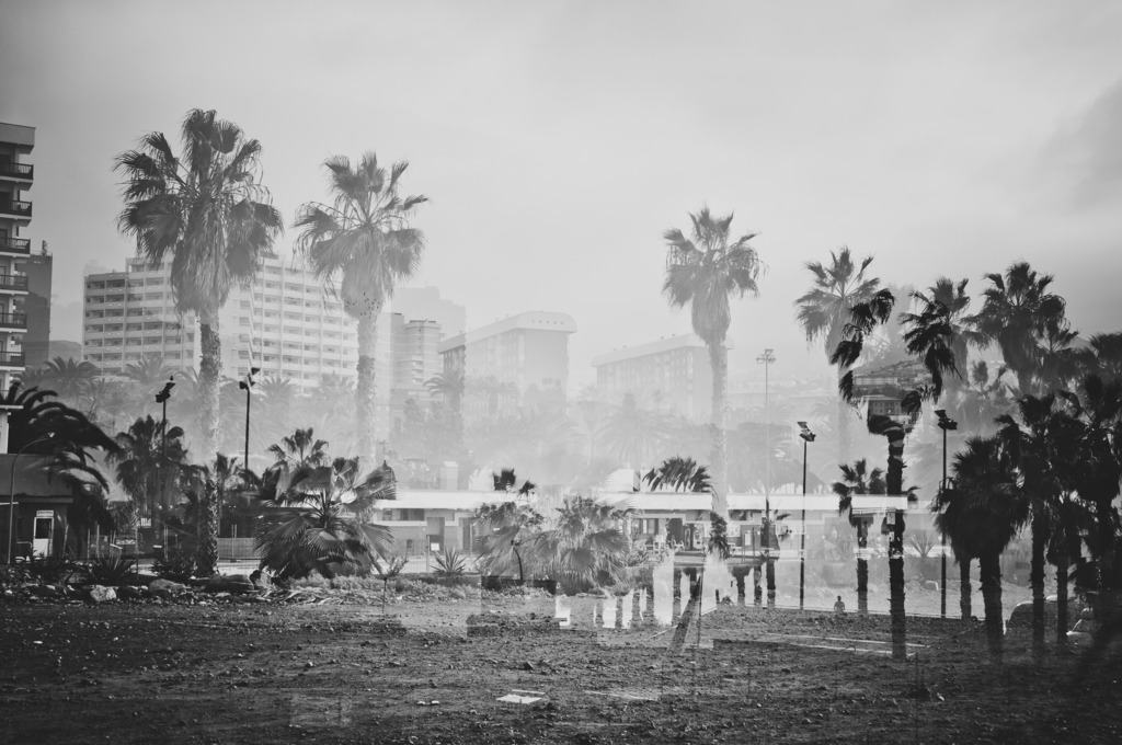 Puerto de la Cruz, Teneriffa | Online Shop für Christen: Christliche Poster XXL, Plakate, Wandbilder als Leinwand & christliche Postkarten, Kalender, Sticker & Lizenzen zum Download. Die Kunstwerke im christliche Geschenke Shop zeigen die Jahreslosung 2025, Gott, Jesus & mehr.