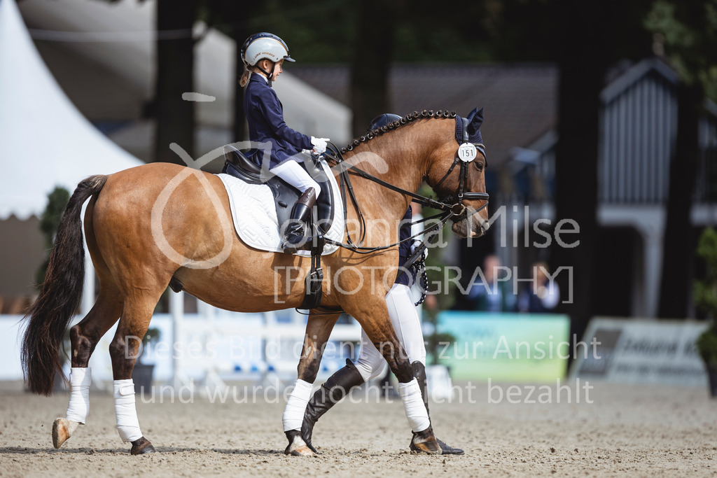 240915_OWLCh_FuehrzuegelWB-666 | Deine schönsten Turniermomente als professionelle Fotos! Entdecke hochwertige Pferdesport-Fotografie im Online-Shop. Jetzt Fotos finden & bestellen!