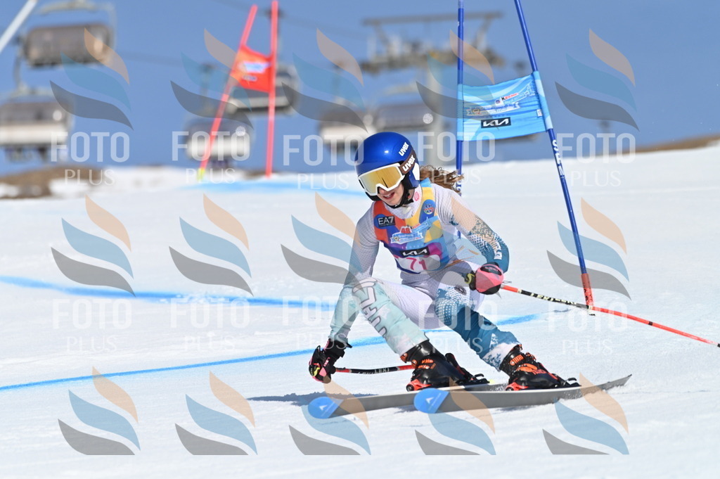 BGV_8930 | holidayphoto