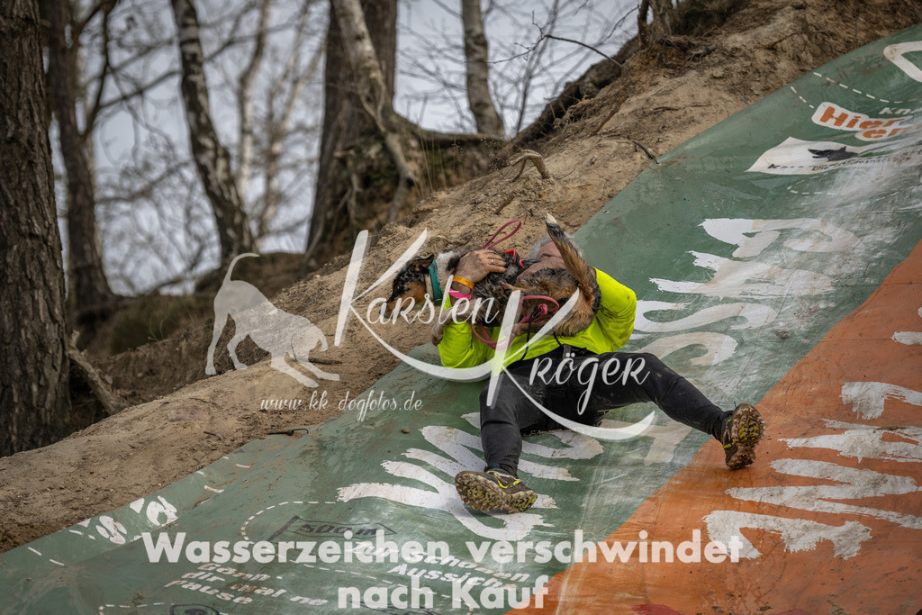 1036DSC_6595 | kk-dogfotos