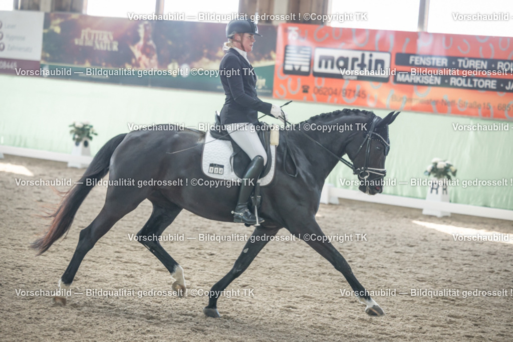 _D5A0734 | Emotionale Pferde- & People-Fotografie rund um Heidelberg, Leimen & Umgebung. Natürliche Fotos von Pferd, Mensch & Familie. Jetzt Termin sichern!