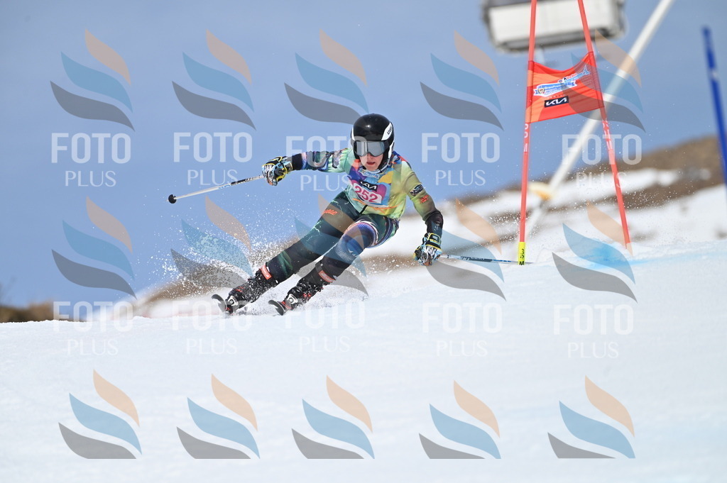 BGV_1907 | holidayphoto