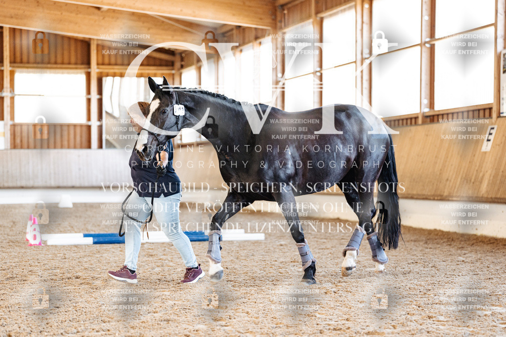 CK906248 | Turnierfotografie Pferdefotografie Trier Rheinland-Pfalz Pferdesport Reitsport Tierfotografie Sportfotografie Pferdevideo Pferdevideografie Equestrianvideography equestrianphotography  - Realisiert mit Pictrs.com