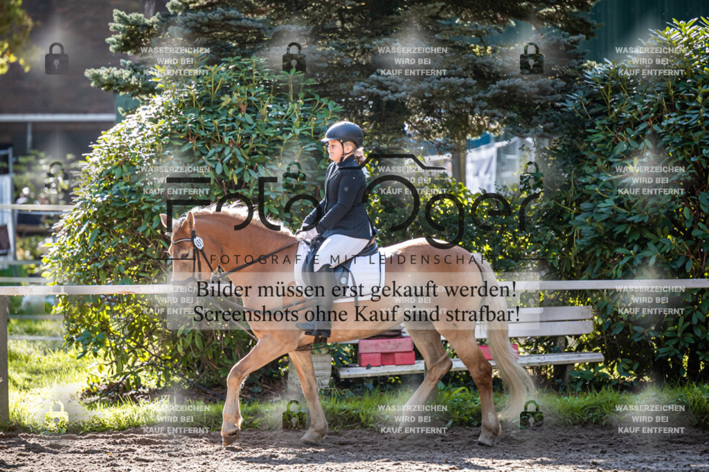 2026-10-Helle-20-4-0009 | Entdecke hochwertige Reitturnierfotos von Foto Oger. Professionell, emotional und authentisch – jetzt Lieblingsmomente im Shop bestellen.Deutschlandweite Turnierfotografie. - Realisiert mit Pictrs.com