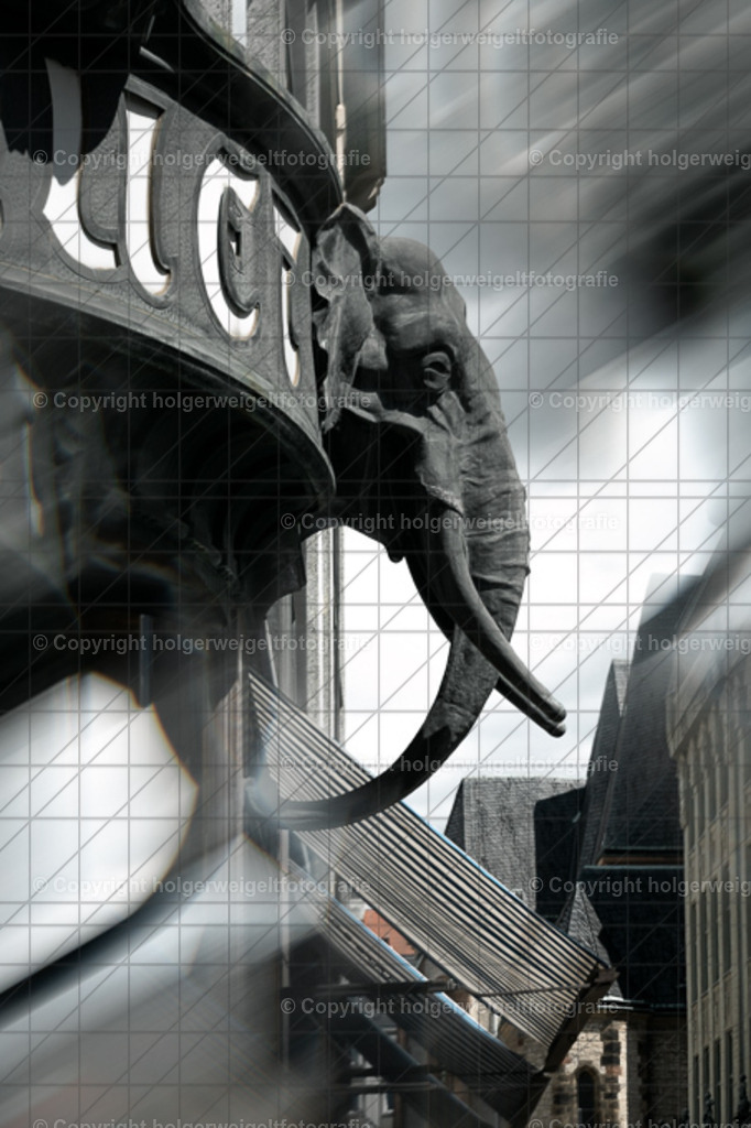 20260703143845Z63_5151 | Kaufen sie online außergewöhnliche Fotografien auf Leinwand Acrylglas Fotoprint Aludibond von holgerweigeltfotografie - Realisiert mit Pictrs.com