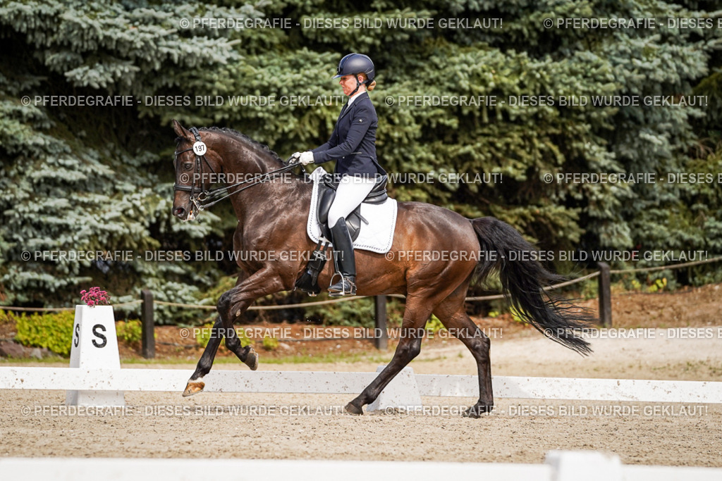 DSC05883 | Pferdegrafie