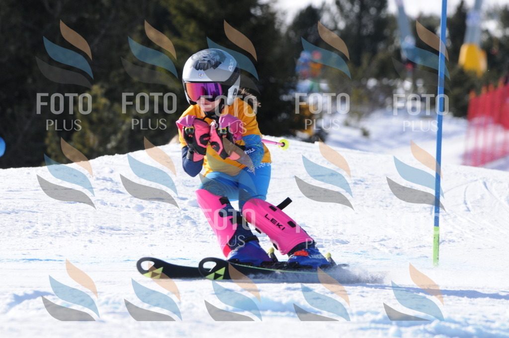 C7039 | holidayphoto