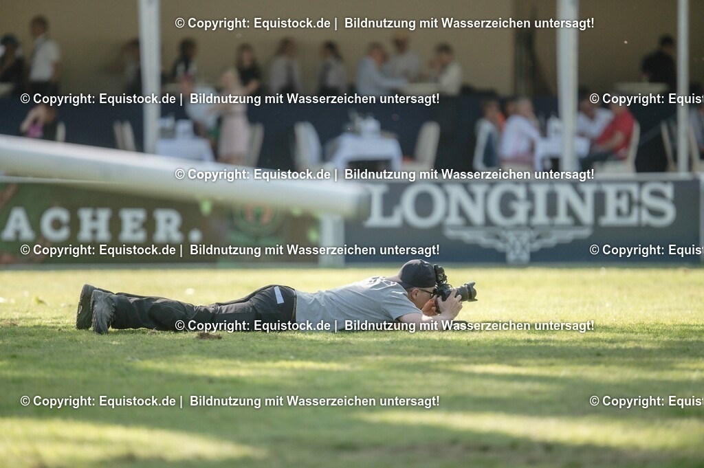 DSC_1262 | equistock