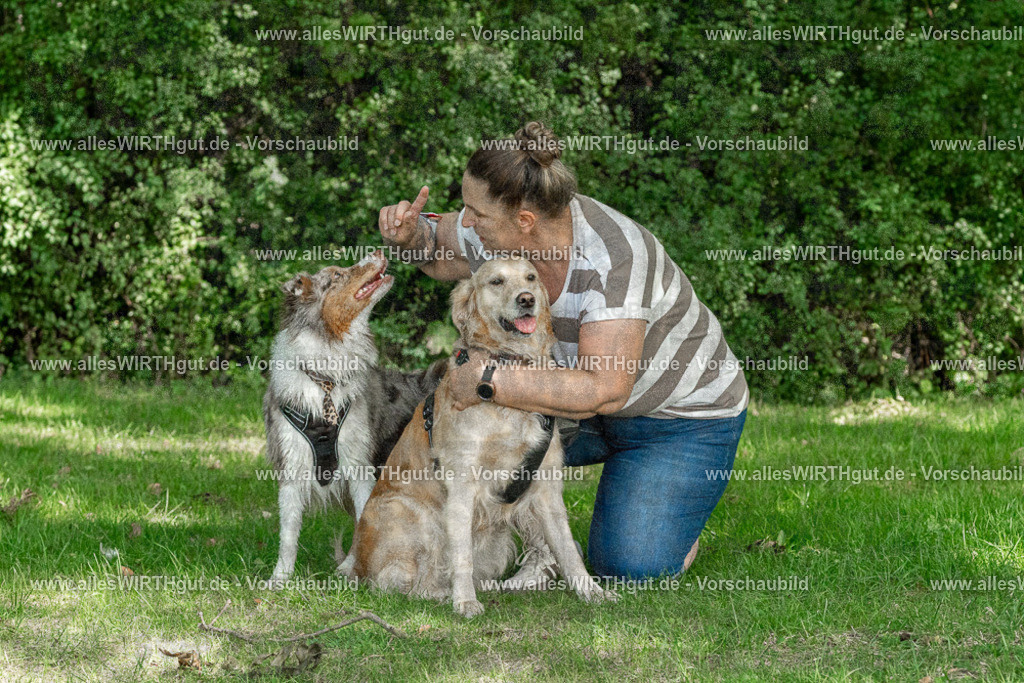 Hundeschwimmen_Volksbad_2026-allesWIRTHgut_Tierfotografie-2609061407-FAY06899 | Professionelle Tierfotografie in Mönchengladbach von Daniel Wirth (allesWIRTHgut). Liebevolle & natürliche Bilder von Hunden & Katzen für unvergessliche Erinnerungen.
