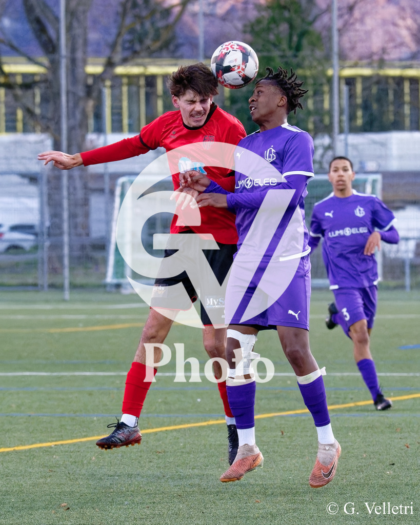 DSC_2894_M | Velletri Photo