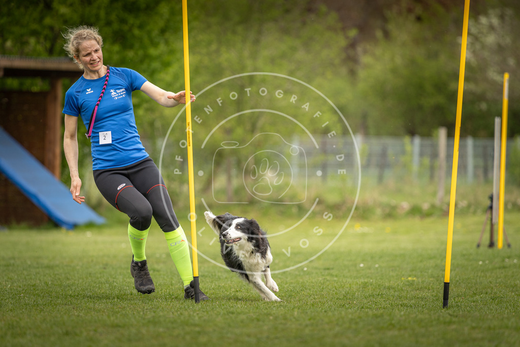 Pfotenfotografie_DV3A7303 | Hundefotografie, Tierfotograf, Pfotenfotografie, Fotoshooting Hund, Hunde Portrait, Hundesport, Hundeportraits, Heideshooting, Hunde, Sportfotograf, Hundefotograf, Turnierhundsport, THS,  - Realisiert mit Pictrs.com